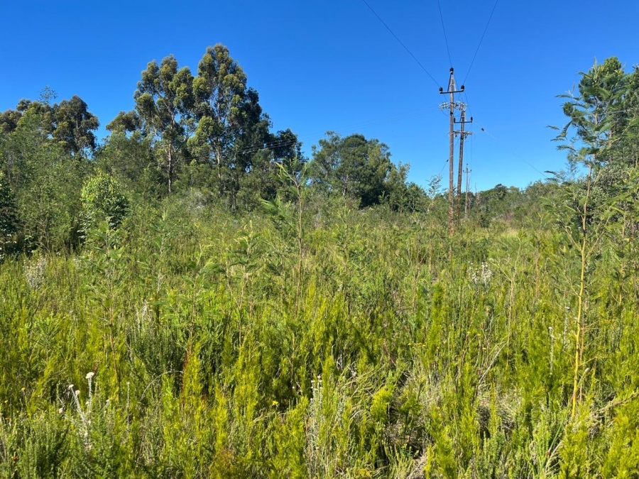 0 Bedroom Property for Sale in The Crags Western Cape